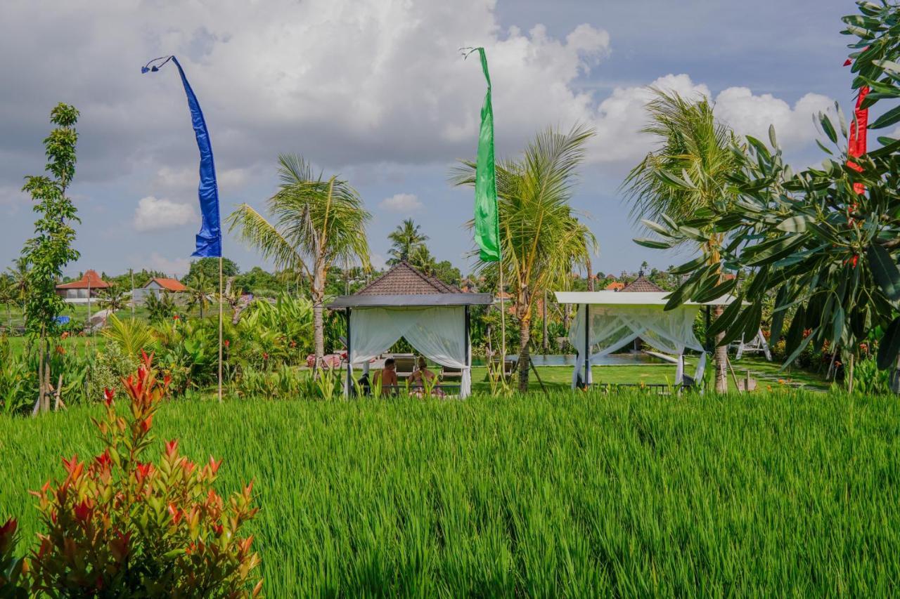 Villa Alisha Pererenan Canggu Exterior foto