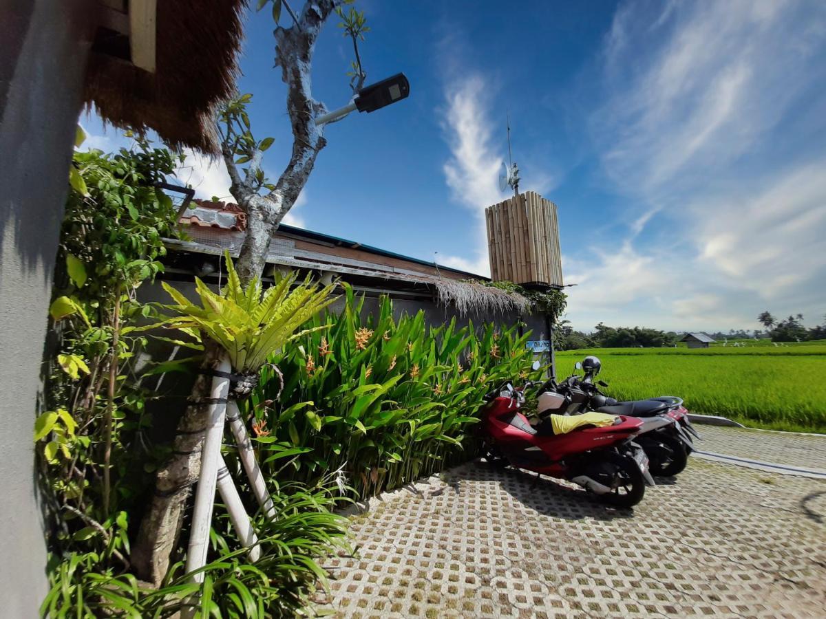 Villa Alisha Pererenan Canggu Exterior foto