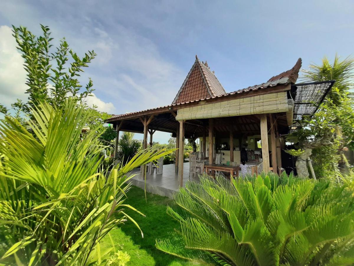 Villa Alisha Pererenan Canggu Exterior foto