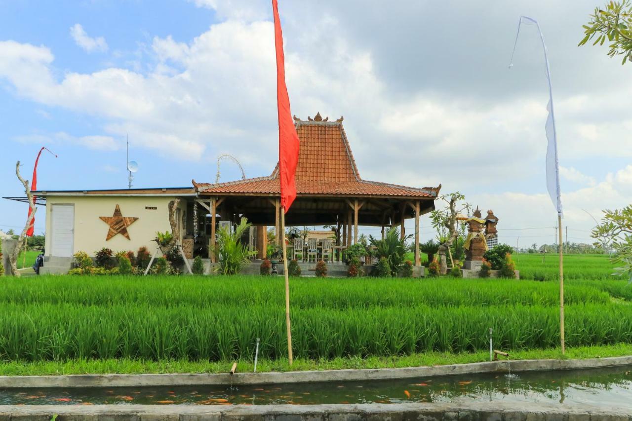 Villa Alisha Pererenan Canggu Exterior foto